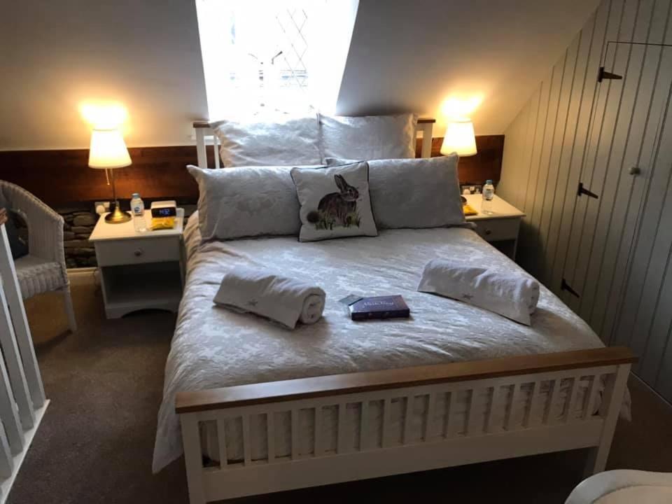 Arthur Street Guest Cottage No16 希尔斯伯勒 外观 照片