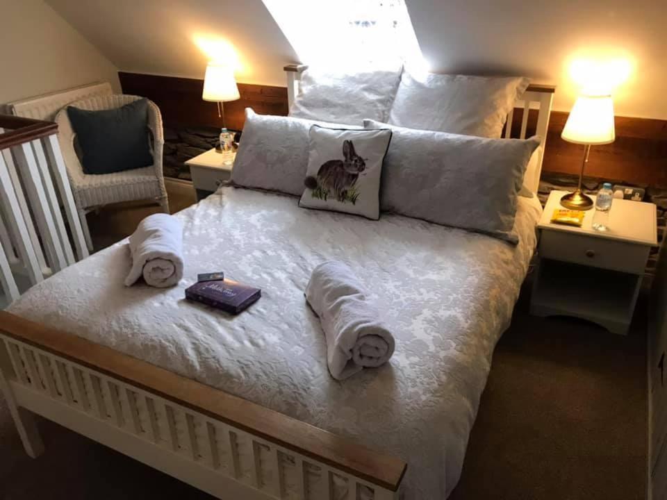 Arthur Street Guest Cottage No16 希尔斯伯勒 外观 照片