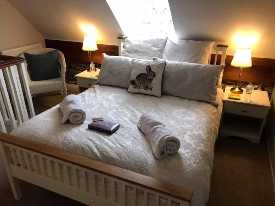 Arthur Street Guest Cottage No16 希尔斯伯勒 外观 照片